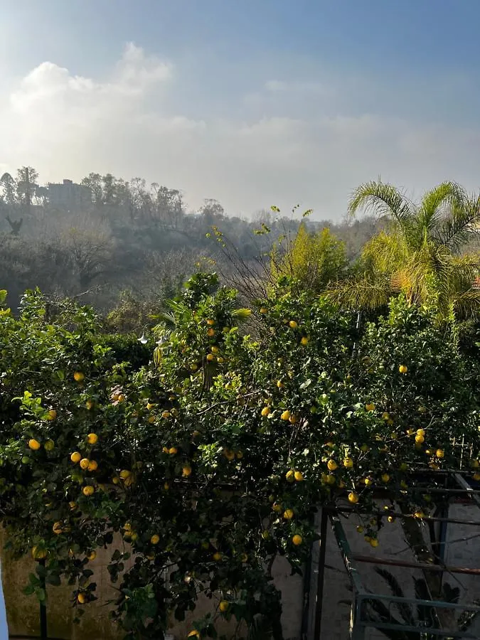 Holiday home La Casa Del Bosco - Unique Two Floors House With Garden Villa Naples Italy